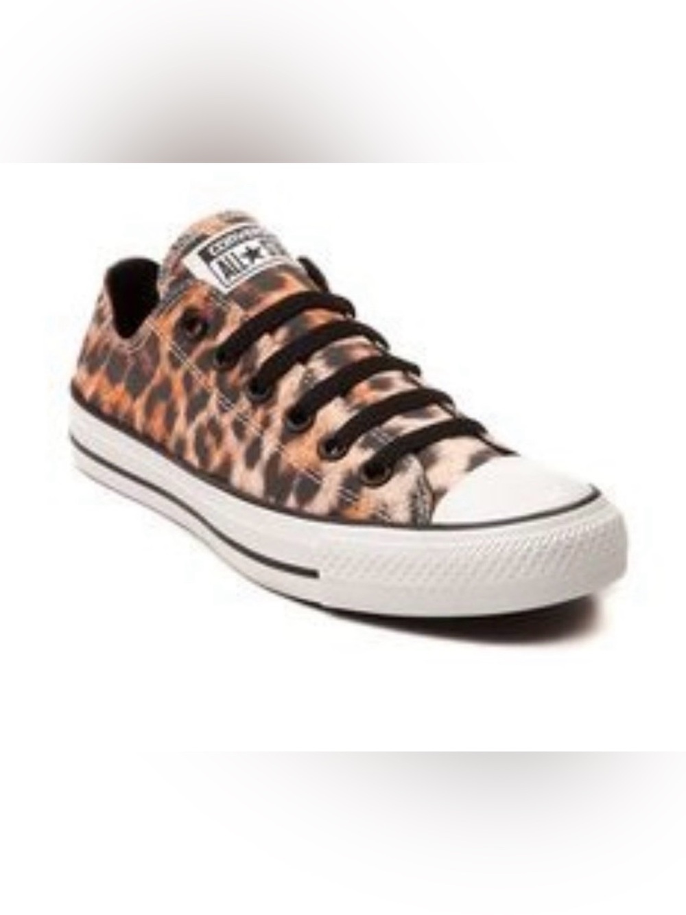 Converse All Star Low Top Leopard Print
